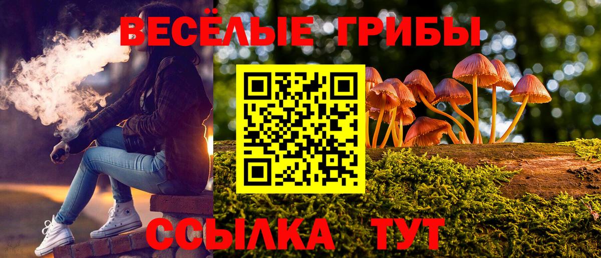 Псилоцибиновые грибы Cubensis  Вход с VPN  Галлюциногенные грибы GOLDEN TEACHER  Карпинск 