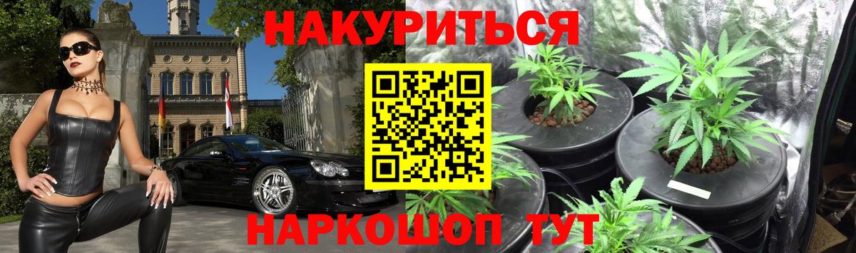 Бошки марихуана гибрид  Вход с VPN  Каннабис планчик  Карпинск  Каннабис White Widow 